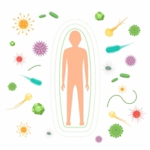 Das Immunsystem und wie man es stärkt